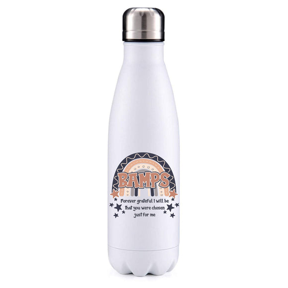 Bamps Fathers Day  Option 1 Insulated Metal Bottle