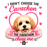 I didn't choose the Cavachon insulated metal bottle