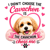 I didn't choose the Cavachon insulated metal bottle