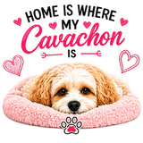 Home is where the Cavachon is insulated metal bottle