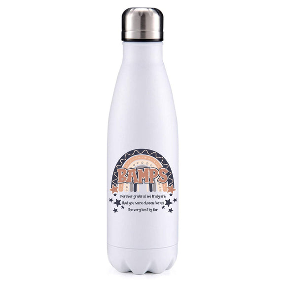 Bamps Fathers Day Option 2 Insulated Metal Bottle
