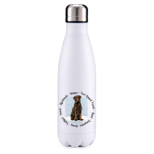 Chocolate Labrador Blue insulated metal bottle