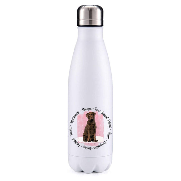 Chocolate Labrador pink insulated metal bottle