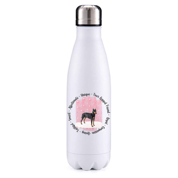 Manchester Terrier pink insulated metal bottle