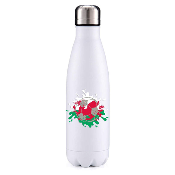 Wales Euro 2021 Metal insulated bottle