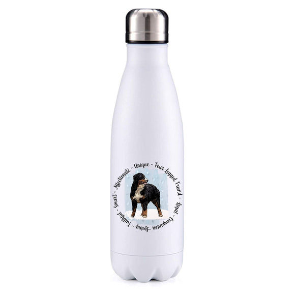 Bernese Mountain Dog blue insulated metal bottle