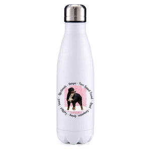 Bernese Mountain Dog pink insulated metal bottle