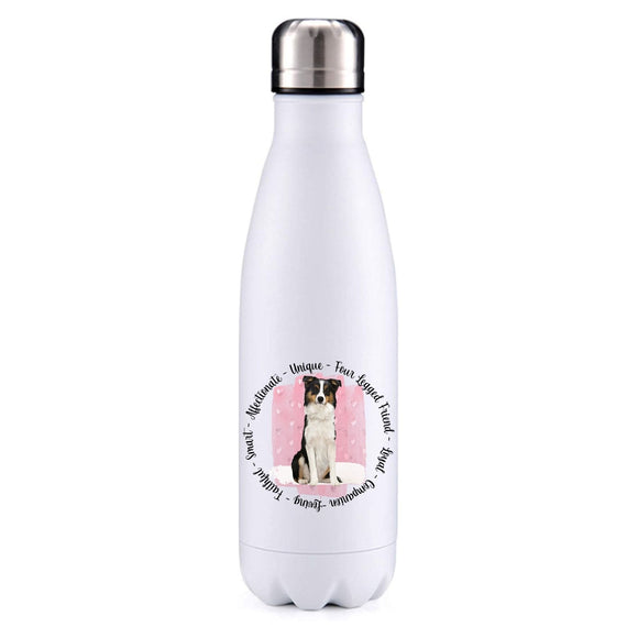 Border Collie brown pink insulated metal bottle
