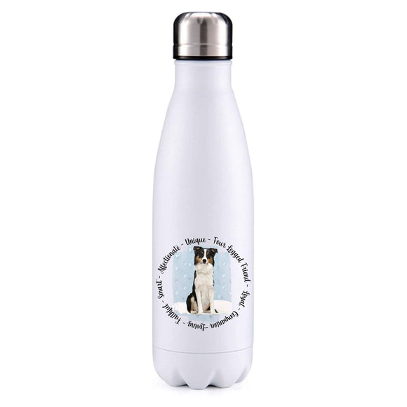 Border Collie Brown blue insulated metal bottle
