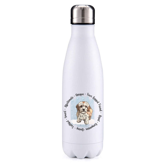 Cavachon Two Tone blue insulated metal bottle