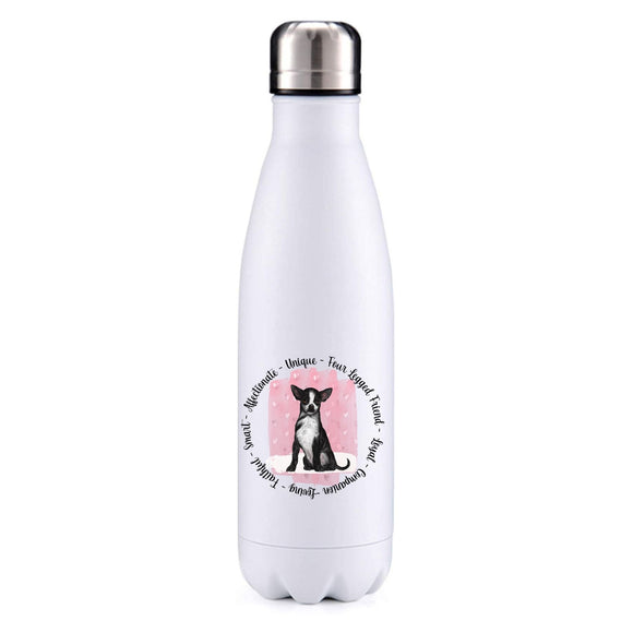 Chihuahua black pink insulated metal bottle