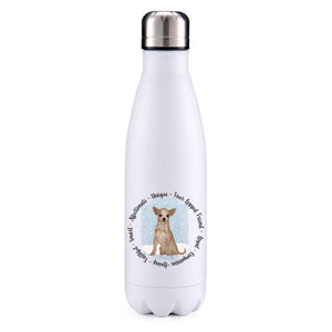 Chihuahua sand blue insulated metal bottle