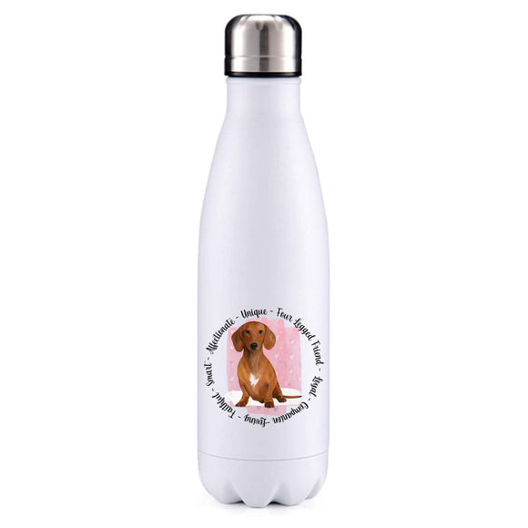 Dachshund brown pink insulated metal bottle