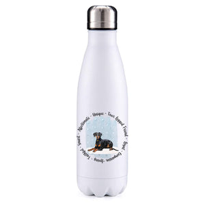 Doberman floppy ears blue insulated metal bottle