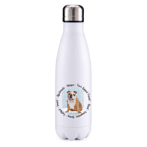 English bulldog sand blue insulated metal bottle