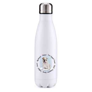 English bulldog white blue insulated metal bottle