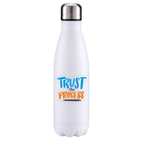 Trust the process motivational insulated metal bottle
